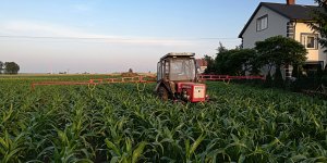 T-25 + Biardzki 400/12