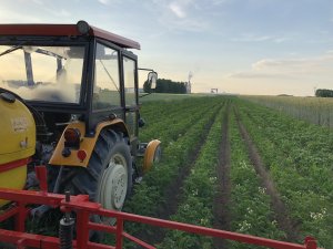 Ursus c-330+biardzki