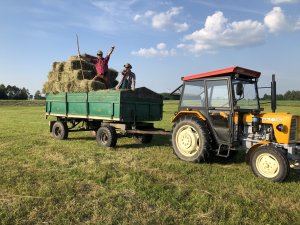 Ursus C-330+sanok d46a