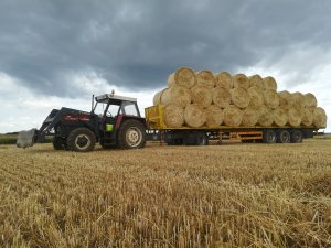 Zetor 8145 z laweta do słomy