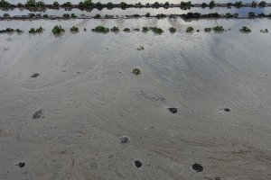 ziemniaki gala 09.06