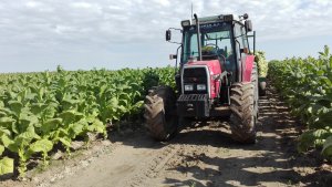 Massey Ferguson 6140