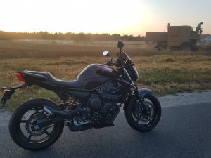 Bizon + Yamaha xj6