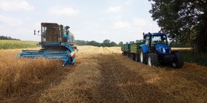 Bizon Rekord i New Holland 