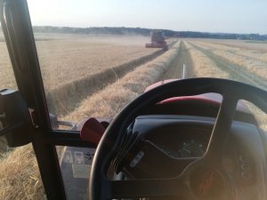 Bizon z056 super jęczmień jary 