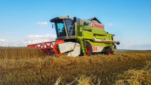 CLAAS Dominator 204 Mega