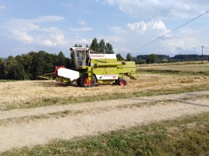 Claas dominator 48 & zniwa 2019r