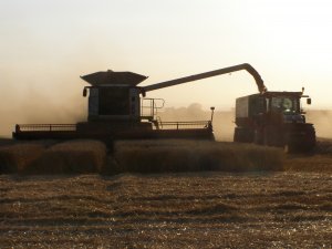 Claas Lexion & John Deere