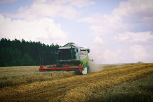 Claas Lexion 520