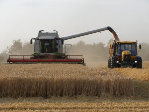 Claas Lexion 550 & Fastrac JCB