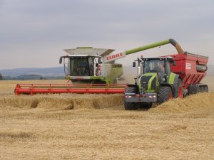 Claas Lexion 760 & Claas Axion 920 + Przyczepa przeładunkowa Perard