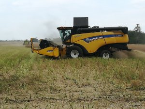 CX 5.80 i Claas Dominator 88