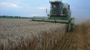 Fortschritt MDW E 524 