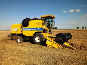 Groch Batuta 6.07.2019