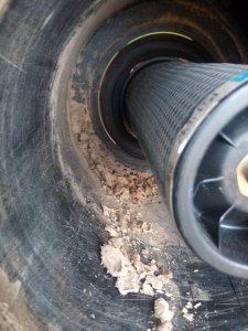 Kokon w filtrze powietrza