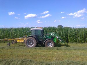 Kukurydza kiszonkowa