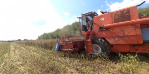 LG ADVOCAT pod kosą Bizona