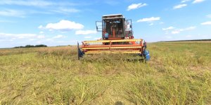 LG ADVOCAT pod kosą Bizona