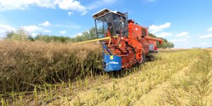 LG ADVOCAT pod kosą Bizona