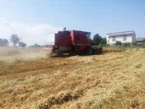 Massey Ferguson 31XP