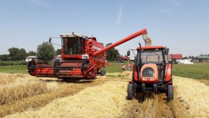 MF 34 & Ursus 4512 Jęczmień ozimy