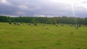 Młodzież i zasuszone :) 