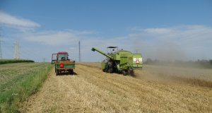 MTZ 82 & przyczepa & Claas Consul