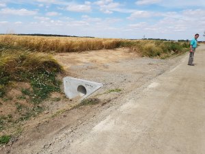 pszenica wjazd na pole