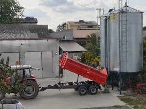 Rozładunek pszenicy