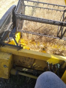 Rzepak 2019, drugi wjazd w tym roku