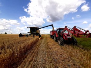 New Holland CX 5.80 Zetor Forterra 115 Metal-Fach T711/2
