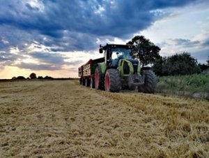 Żniwa 2019 Claas Arion 630/2x HW8011