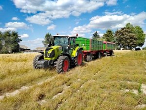 Żniwa 2019 Claas Arion 440/2x HW8011