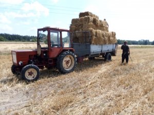 T 25&rozrzutnik Czarna Białostocka