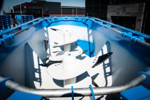 Wóz paszowy RINO FXX1600