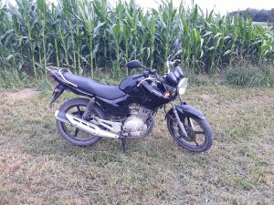 Yamaha ybr125