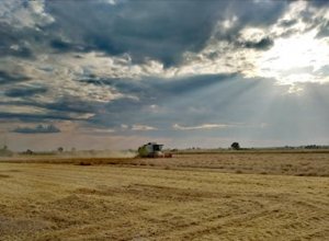 Żniwa 2019 Claas Tucano 320