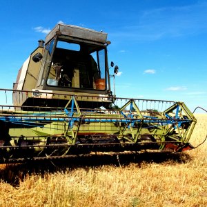 Żniwa 2019 rozpoczęte