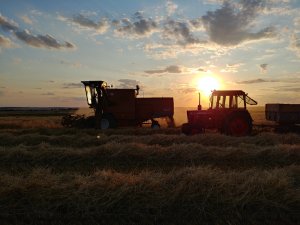 Żniwa 2019 z Bizonem