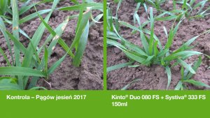 BASF Systiva 333FS
