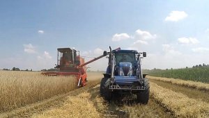 Bizon ZO56, New Holland t6050 