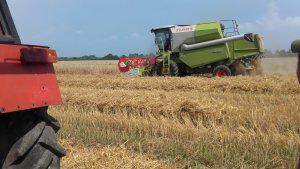 Claas Avero 240
