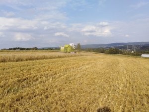 Claas dominator 48 & zniwa 2019 