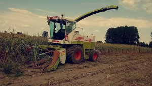 Claas jaguar 695 mega