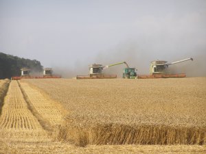 Claas Lexion