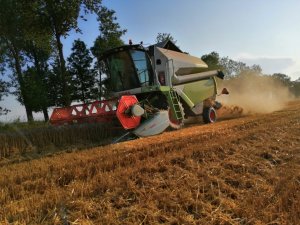 Claas Tucano 320