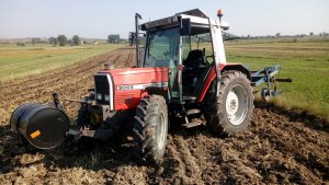 Massey Ferguson 3065 + Rabe Werk