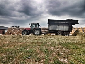 Massey Ferguson 6290 & fiegl