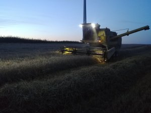 New Holland s-1550 w pszenżycie