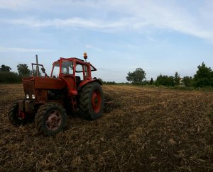 MTZ 82/brona talerzowa
